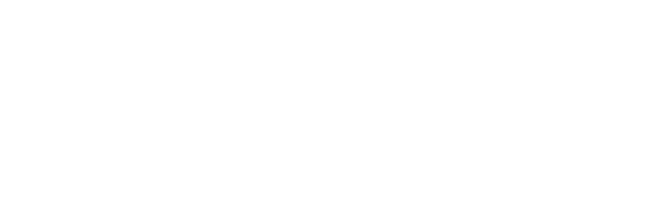 logo footer