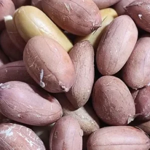 بادام زمینی درجه یک سایز ۱ آستانه اشرفیه( بسته یک کیلویی)