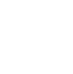 تخفیفات ویژه برنجستان